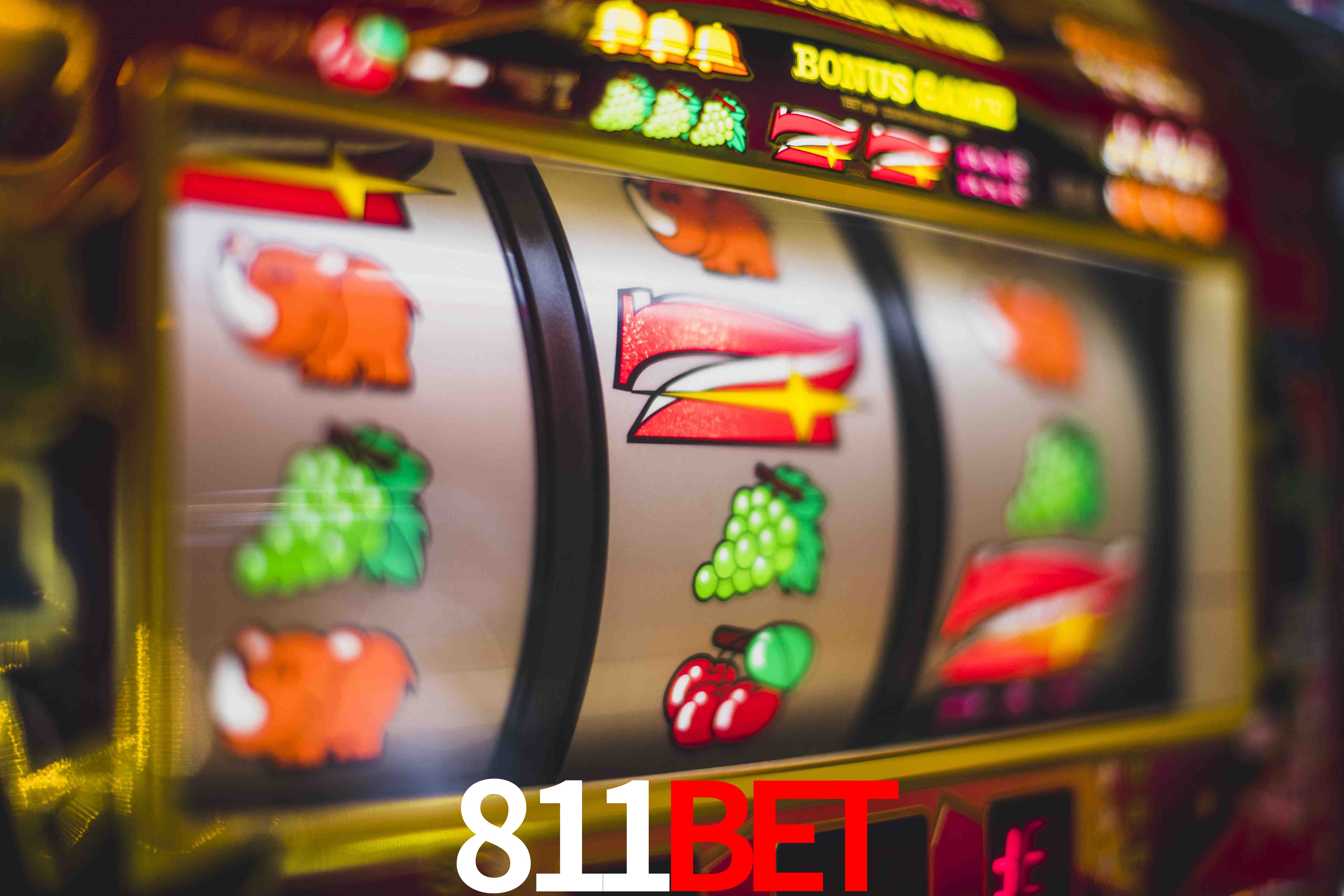 Statistics 811bet